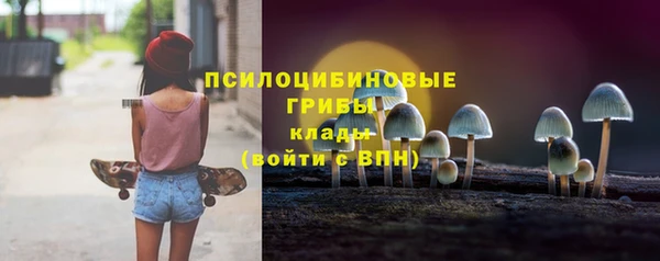 дживик Беломорск