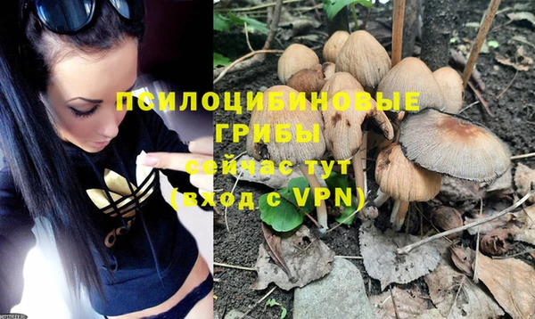 кокаин Белокуриха