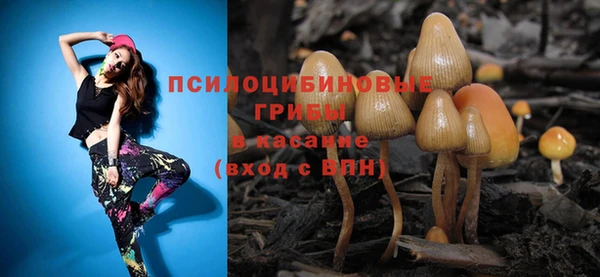 дживик Беломорск