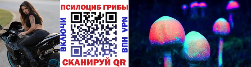 блэк спрут ТОР Верхняя Пышма Галлюциногенные грибы GOLDEN TEACHER